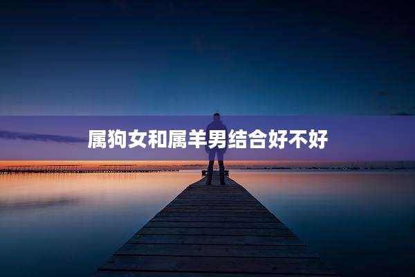 属狗女和属羊男结合好不好