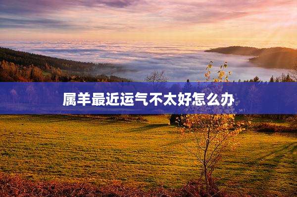 属羊最近运气不太好怎么办
