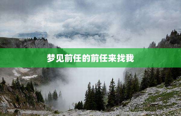 梦见前任的前任来找我