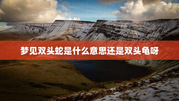 梦见双头蛇是什么意思还是双头龟呀
