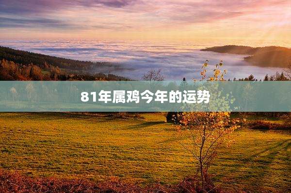81年属鸡今年的运势
