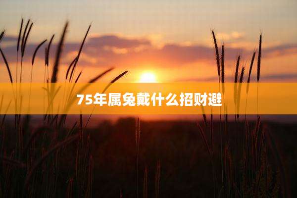 75年属兔戴什么招财避