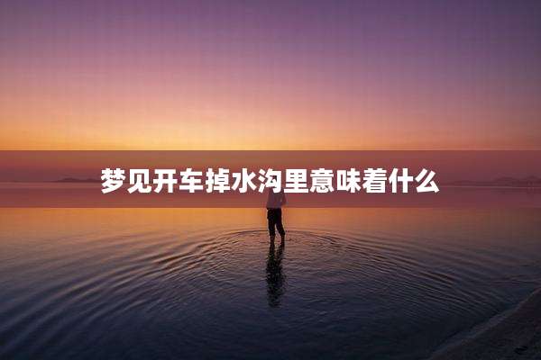 梦见开车掉水沟里意味着什么