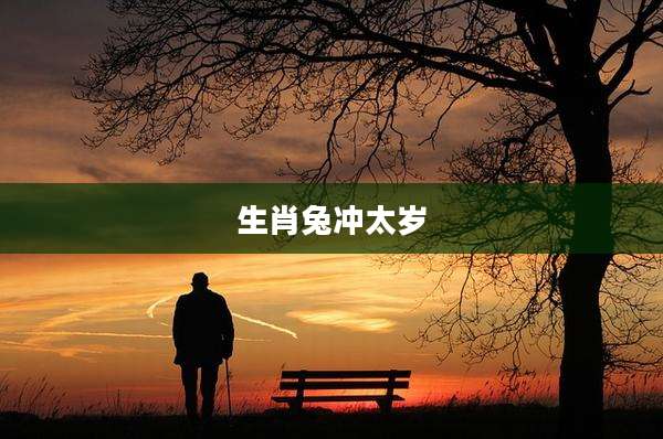 生肖兔冲太岁