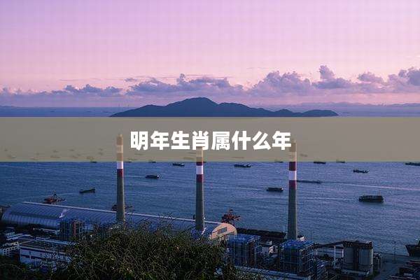 明年生肖属什么年