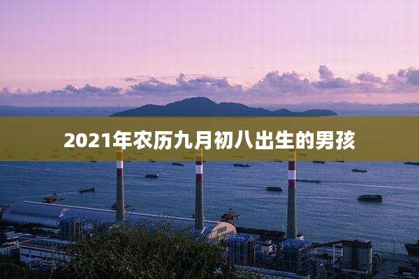 2021年农历九月初八出生的男孩