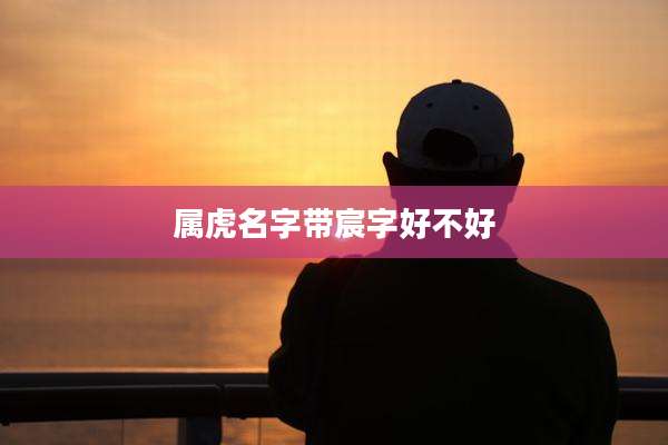 属虎名字带宸字好不好