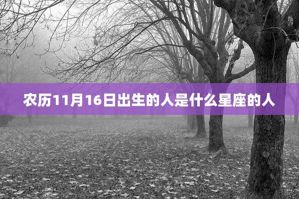 农历11月16日出生的人是什么星座的人