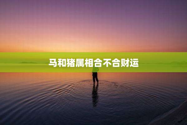 马和猪属相合不合财运