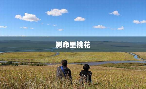 测命里桃花