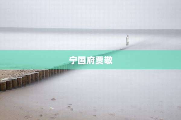 宁国府贾敬