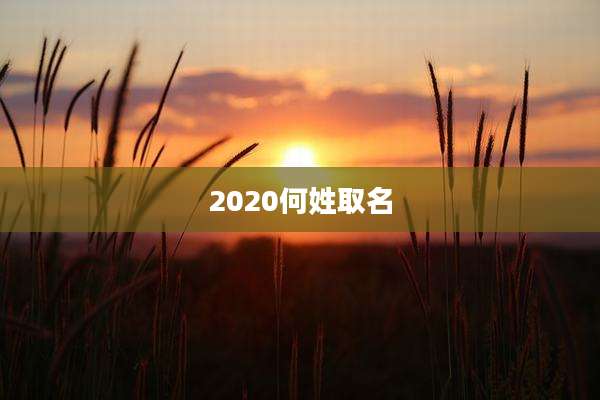 2020何姓取名