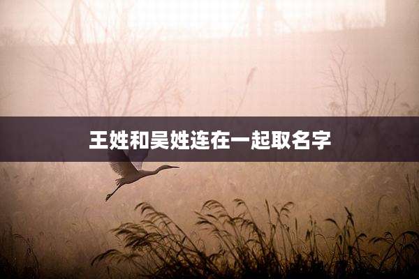 王姓和吴姓连在一起取名字