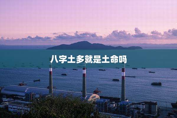 八字土多就是土命吗