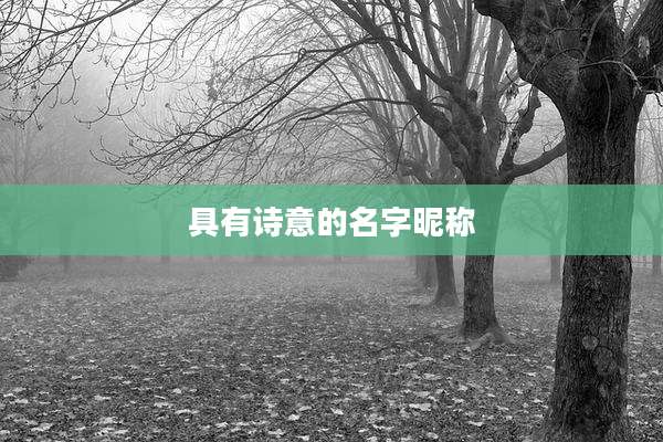 具有诗意的名字昵称