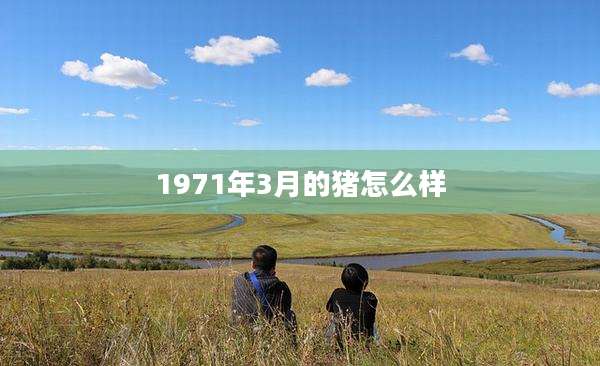 1971年3月的猪怎么样