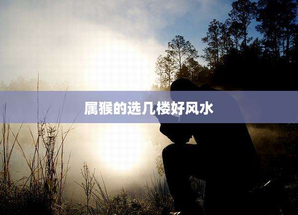 属猴的选几楼好风水