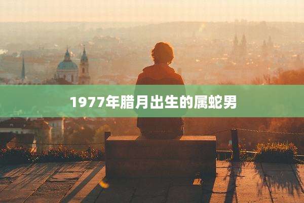 1977年腊月出生的属蛇男