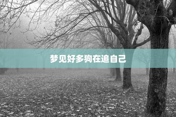 梦见好多狗在追自己