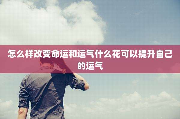 怎么样改变命运和运气什么花可以提升自己的运气