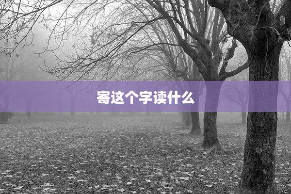 寄这个字读什么