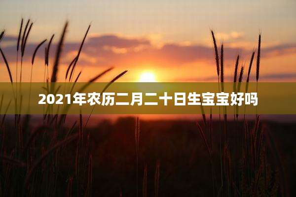 2021年农历二月二十日生宝宝好吗