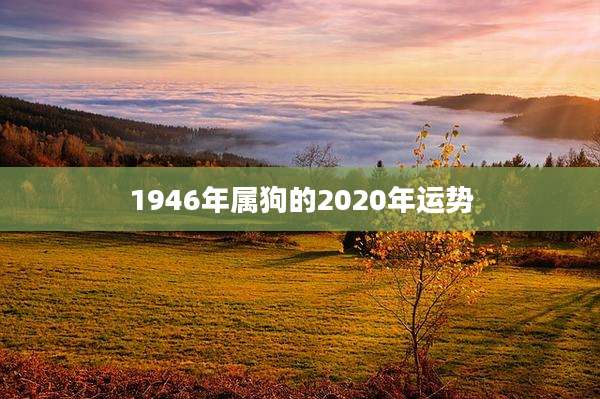 1946年属狗的2020年运势