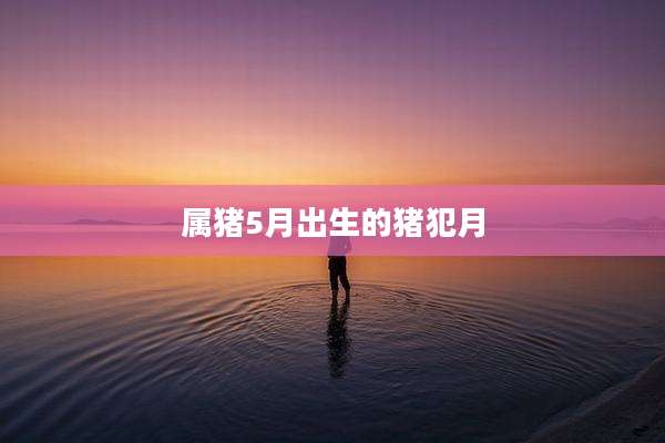 属猪5月出生的猪犯月