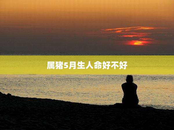 属猪5月生人命好不好