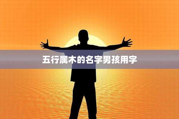 五行属木的名字男孩用字
