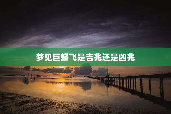 梦见巨蟒飞是吉兆还是凶兆