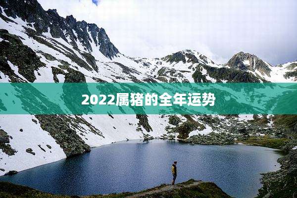2022属猪的全年运势