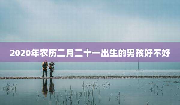 2020年农历二月二十一出生的男孩好不好