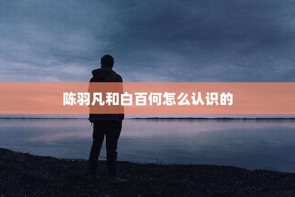 陈羽凡和白百何怎么认识的