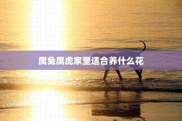 属兔属虎家里适合养什么花