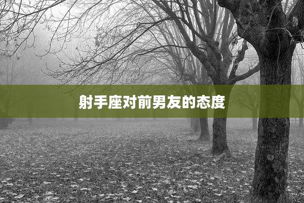 射手座对前男友的态度