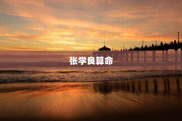 张学良算命