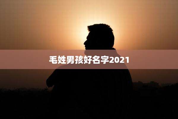 毛姓男孩好名字2021