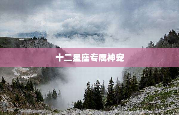十二星座专属神宠