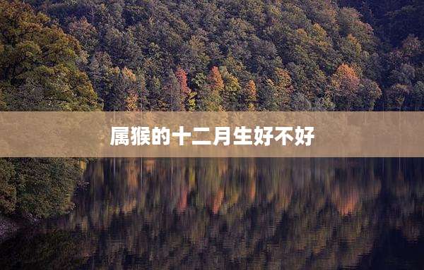 属猴的十二月生好不好