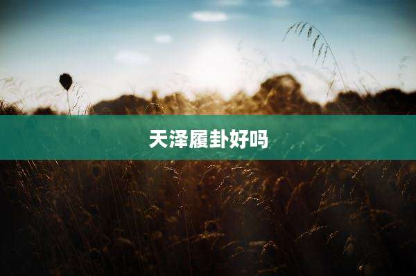 天泽履卦好吗