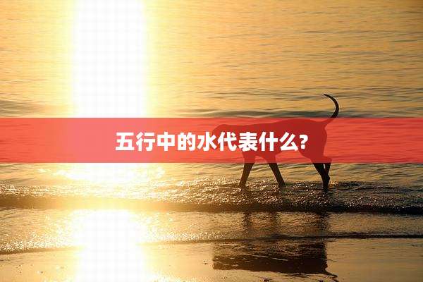 五行中的水代表什么?