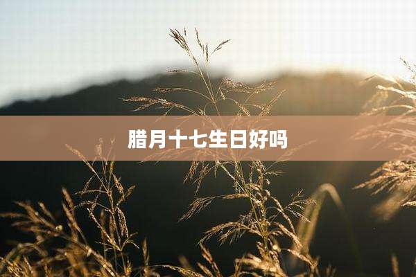 腊月十七生日好吗