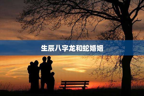 生辰八字龙和蛇婚姻