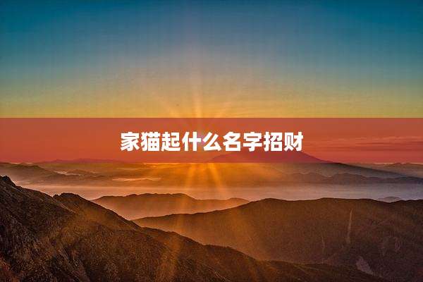 家猫起什么名字招财