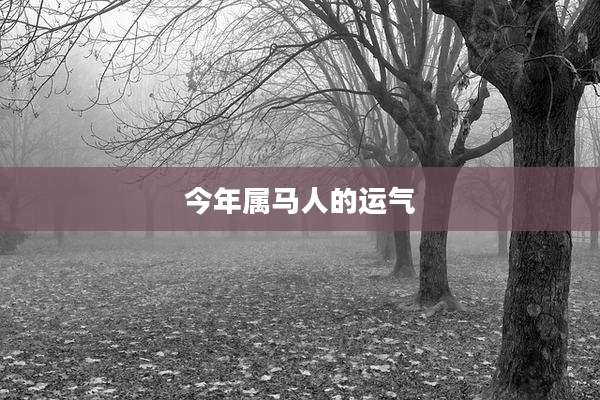 今年属马人的运气