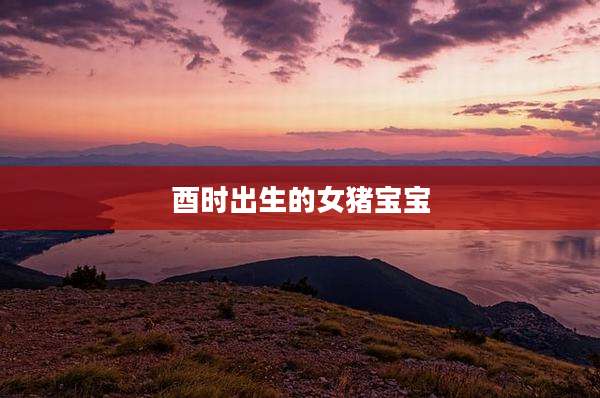 酉时出生的女猪宝宝