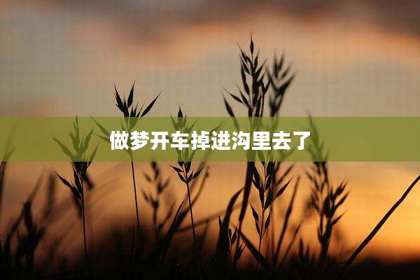 做梦开车掉进沟里去了