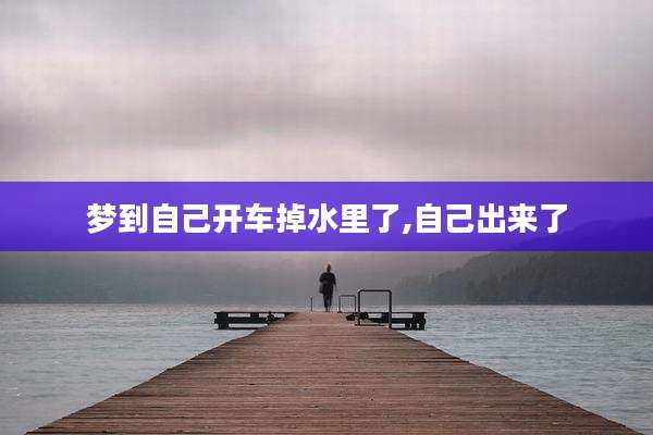 梦到自己开车掉水里了,自己出来了