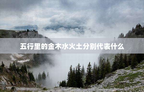 五行里的金木水火土分别代表什么